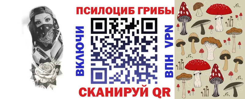 Галлюциногенные грибы Psilocybine cubensis это как зайти Дивногорск